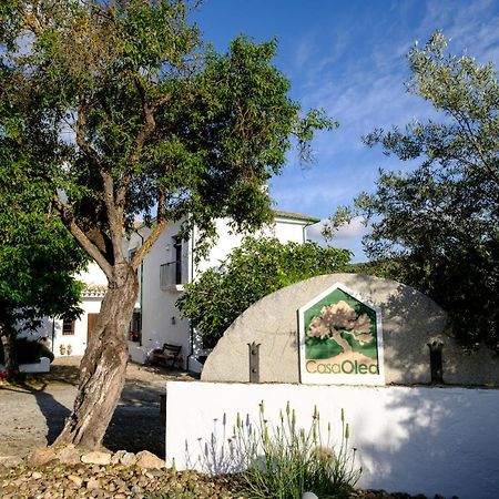 プリエゴ・デ・コルドバ Casa Olea Bed & Breakfast エクステリア 写真