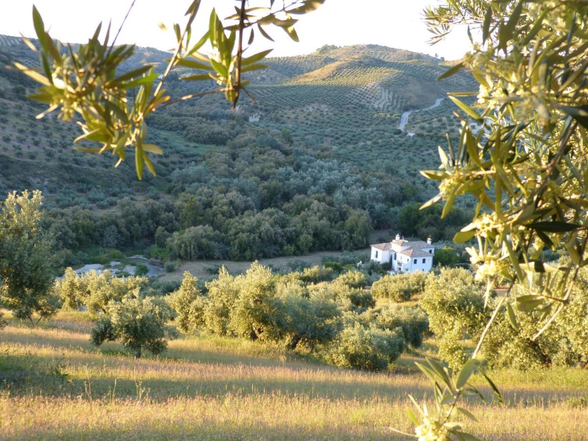 プリエゴ・デ・コルドバ Casa Olea Bed & Breakfast エクステリア 写真