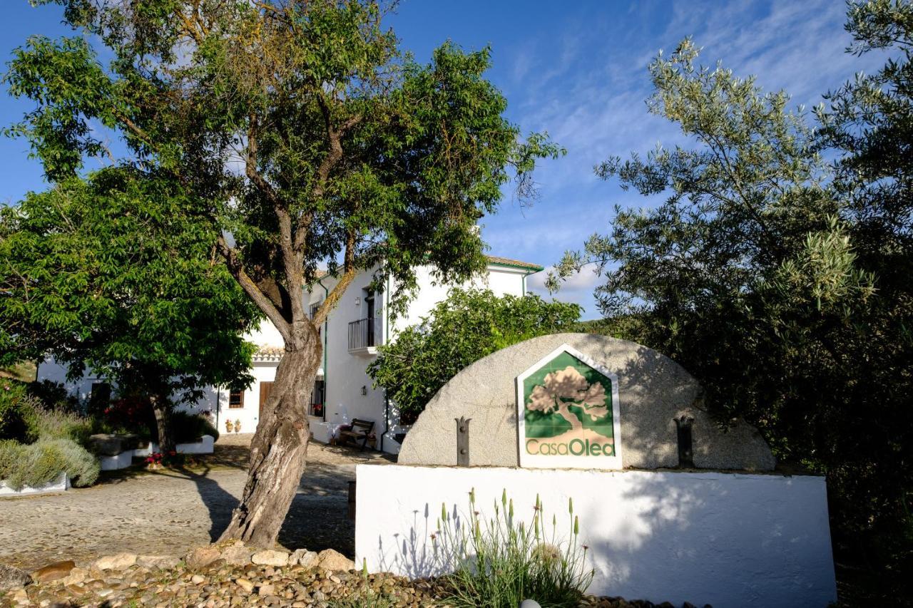 プリエゴ・デ・コルドバ Casa Olea Bed & Breakfast エクステリア 写真