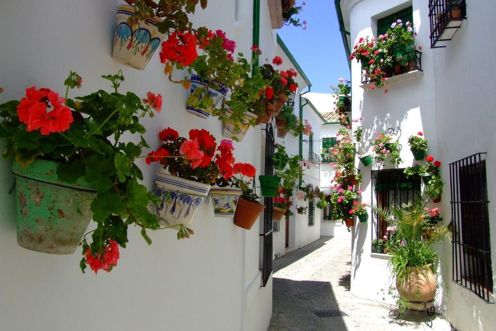 プリエゴ・デ・コルドバ Casa Olea Bed & Breakfast エクステリア 写真