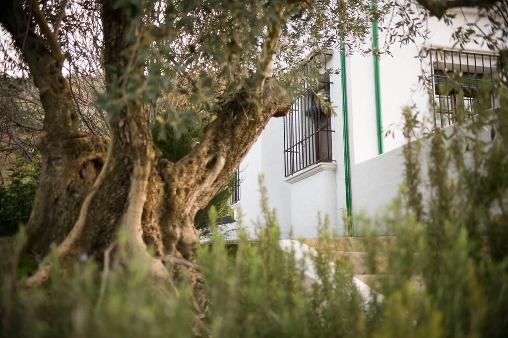 プリエゴ・デ・コルドバ Casa Olea Bed & Breakfast エクステリア 写真